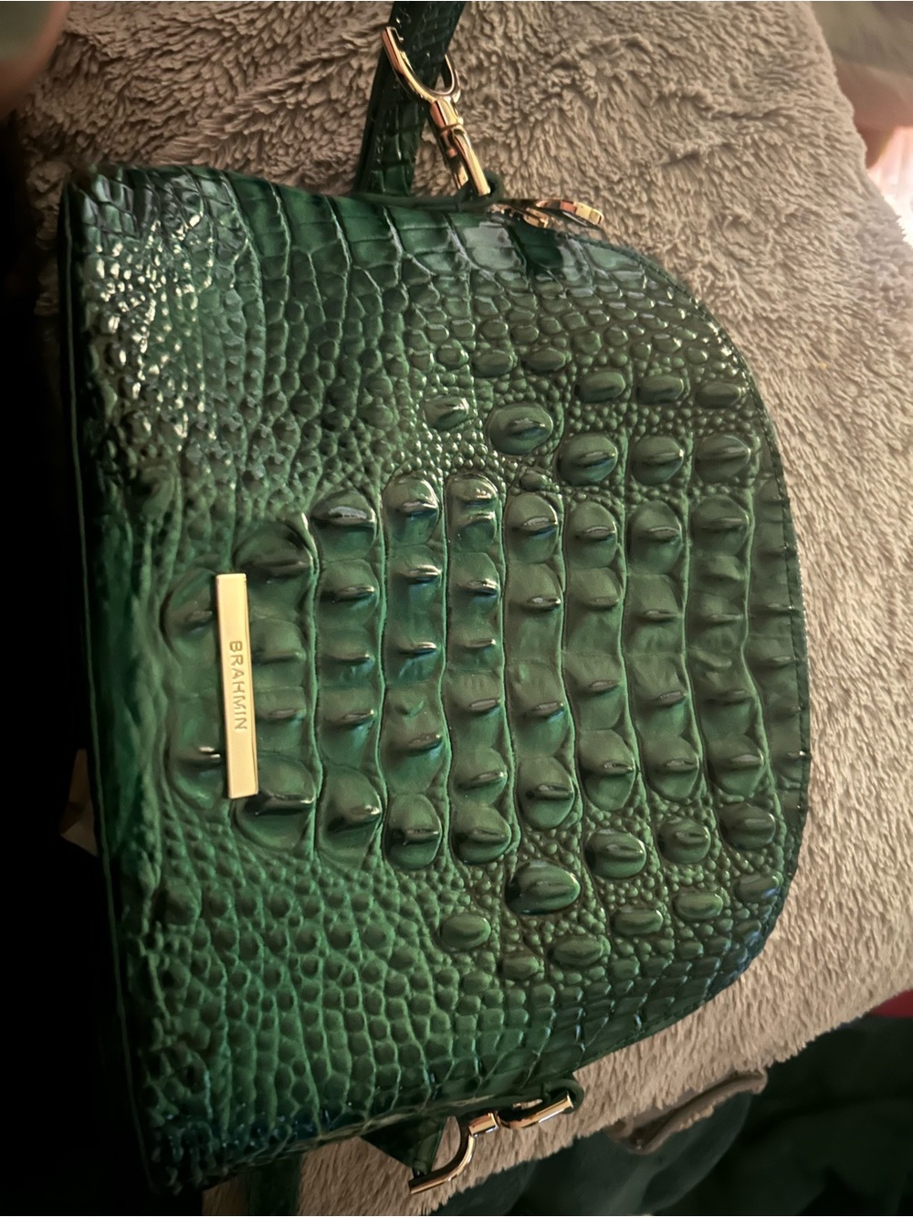Brahmin Green Georgina Croc-Embossed Leather Crossbody with Gold Hardware